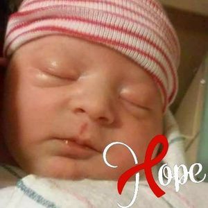 Meet your Posher, Sandy